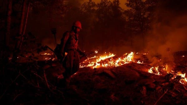 حريق يفتك بغابات شمال كاليفورنيا.. وفقدان 8 أشخاص