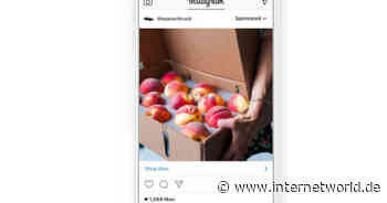 Die 6 wichtigsten Werbeformate auf Instagram