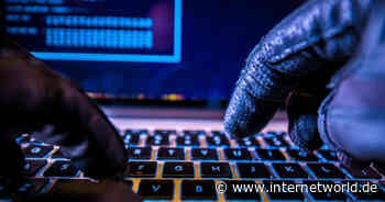 "Versagen der Bundesregierung in Sachen IT-Sicherheit"