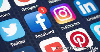 Populäre Social-Media-Plattformen: Ohne Instagram geht nichts