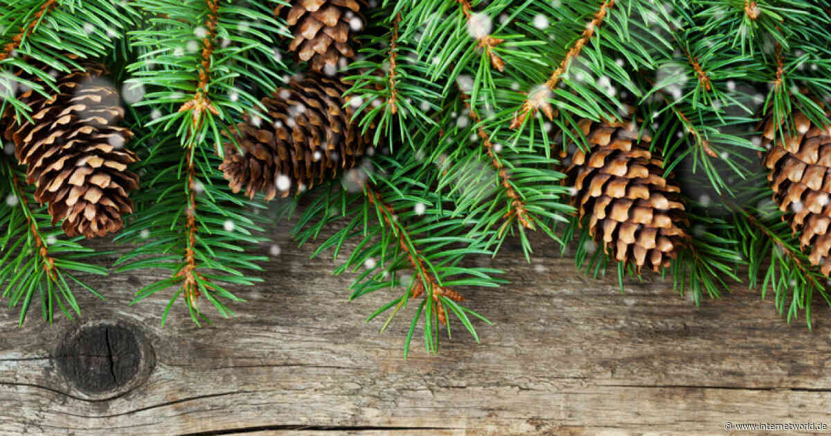 So können kleine Händer ihr Weihnachtsgeschäft in Corona-Zeiten optimieren - Online Marketing nachrichten