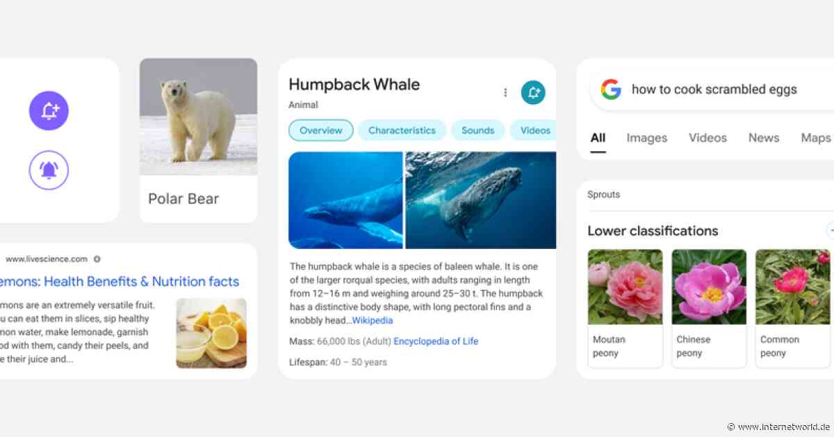 Google ändert Design der mobilen Suche - Online Marketing nachrichten
