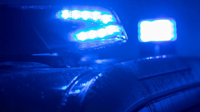 Vermisster Vater und fünfjähriger Sohn tot in Waldstück gefunden