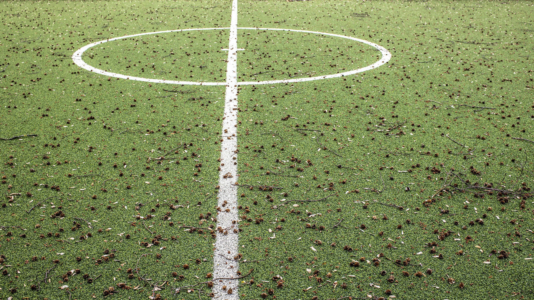 Unbekannte stechen großes Hakenkreuz in Sportplatz