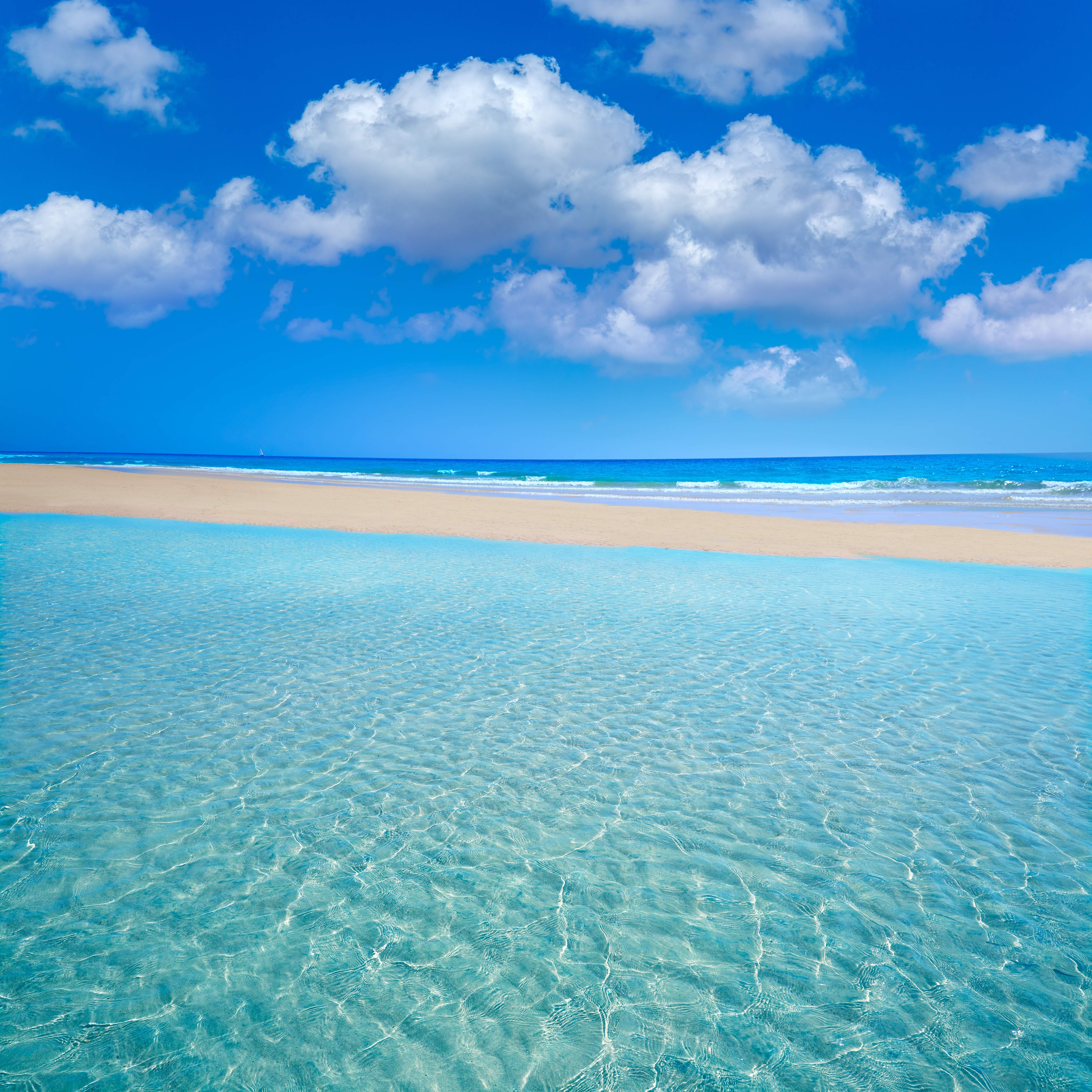 las mejores playas de Europa están en Fuerteventura: así son Cofete y Sotavento