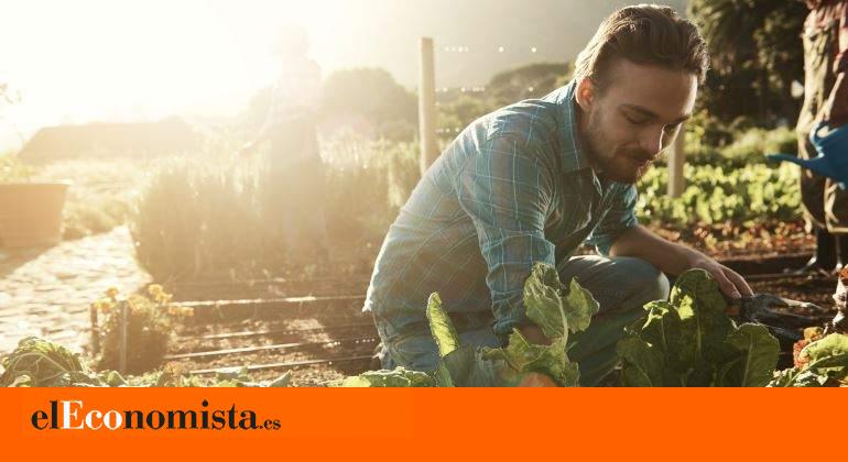 El campo contra el cambio climático: así lucha por la sostenibilidad el cuarto sector más contaminante
