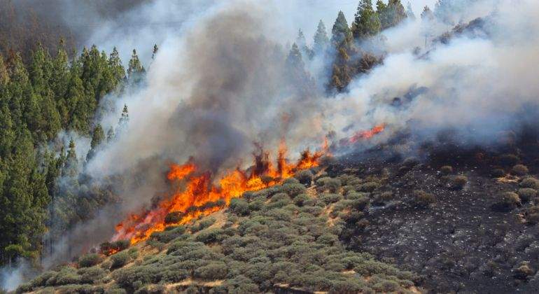 incendio-artenara-canarias-2019-efe.jpg