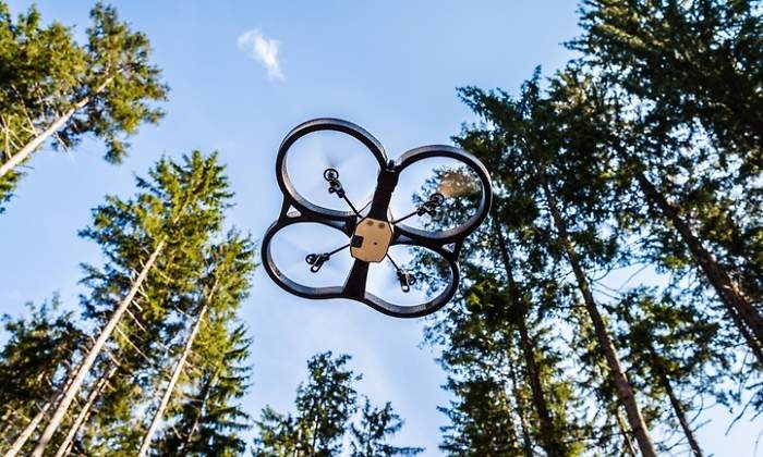 Drones, big data e ingeniería genética: tecnología punta para reforestar