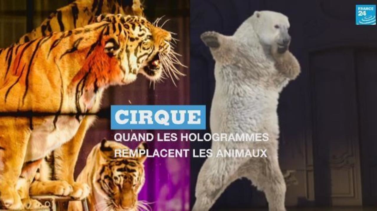 quand les hologrammes remplacent les animaux