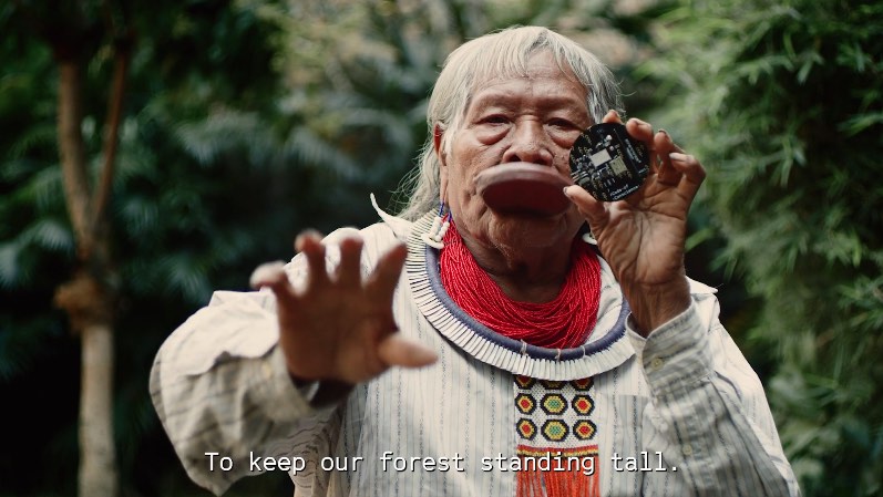 Akqa idea Code of Conscience, un codice che combatte la distruzione dell'Amazzonia