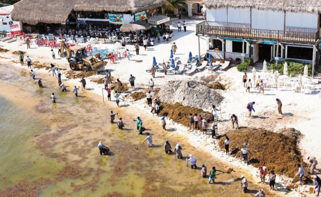 Promociones en Riviera Maya, estrategia contra el sargazo