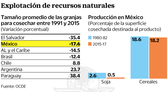 08jul2019-productividad2.gif