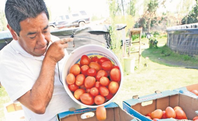 El agro no es prioridad para la 4T, acusa el CNA