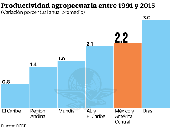 08jul2019-productividad1.gif
