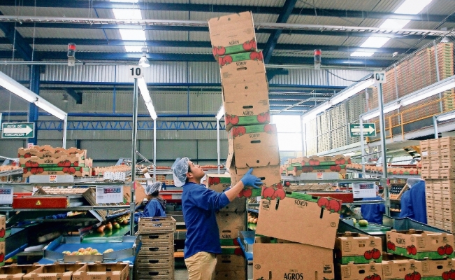 Advierten de alza a cuota de jitomates