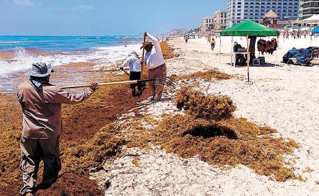 Cadenas hoteleras abrirán 23 mil cuartos durante 2019