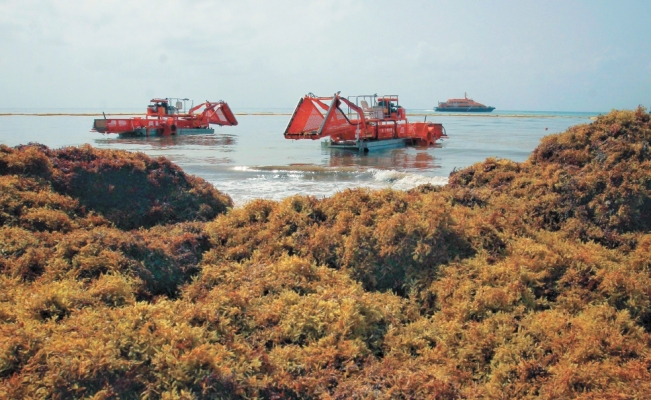 Inversión hacia México se ha frenado, afirma Coine