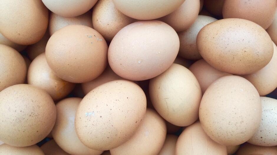Partia jaj z salmonellą wycofana ze sprzedaży