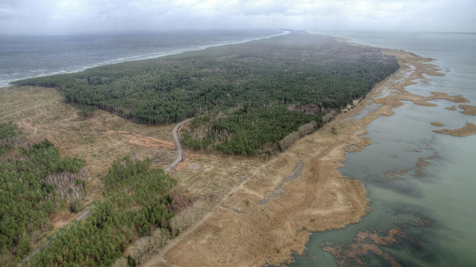 Dwa złoża bursztynu na Mierzei Wiślanej. Minister podaje szacunkową wartość