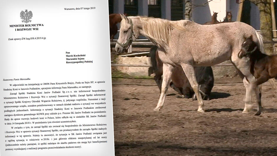 Słynna polska stadnina koni w tarapatach. Ministerstwo wini suszę