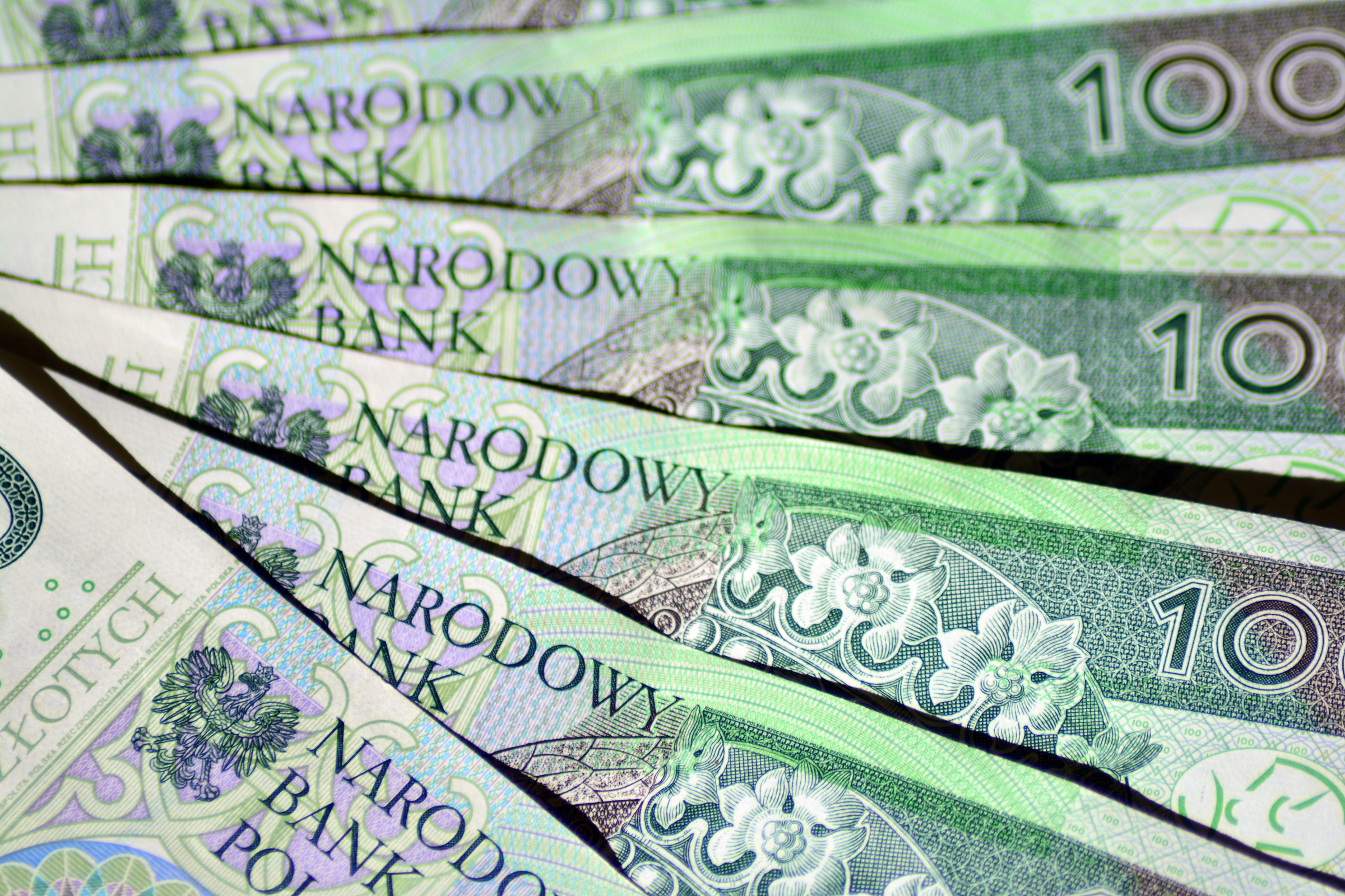 Stopy procentowe. Jest decyzja RPP
