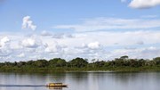 Acordo comercial com EFTA ajuda Mercosul a contornar pressão ambiental da UE - Europa