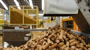 Lucros da Corticeira Amorim descem 2,1% no primeiro semestre para 40,4 milhões de euros - Empresas