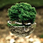 Clima: Tribunal dos Direitos Humanos dá luz verde a processo movido por jovens portugueses