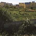 Orçamento permite cobrar mais IMI a terrenos para construção