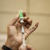 Covid-19: Mais de mil milhões de doses de vacinas administradas a nível mundial