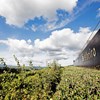 Soalheiro de Melgaço “sai do conforto” do Alvarinho