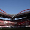Benfica confirma existência da Benfica Internacional, explica o seu propósito e diz desconhecer investigação