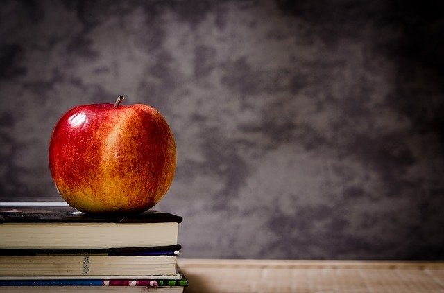 Onde é que os portugueses tencionam comprar material escolar? - Meios & Publicidade