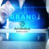 Услуга Амиллидиус – создание и продвижение бренда базируется на ноу-хау компании