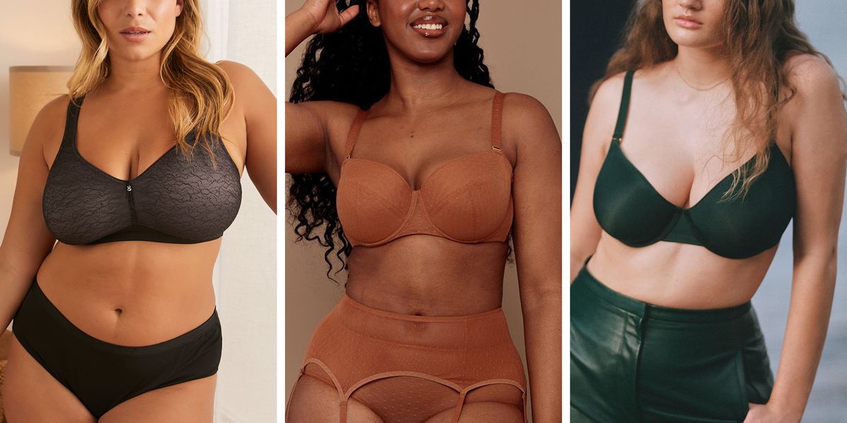 Best Plus-Size Bras 2023 Forbes Vetted, 45% OFF