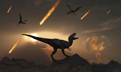 Есть ли метеорит?  Китайские ученые считают, что динозавры начали вымирать до падения метеорита