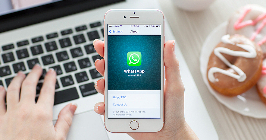 WhatsApp добавит поддержку нескольких учетных записей на одном устройстве