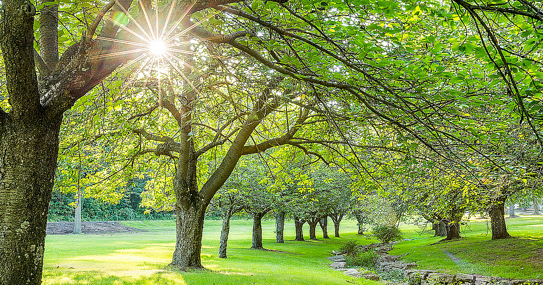 Прогноз погоды на выходные 8-9 июля: Лето в самом разгаре!