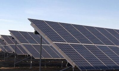 Ветровая и солнечная энергетика впервые обогнали ископаемое топливо в ЕС