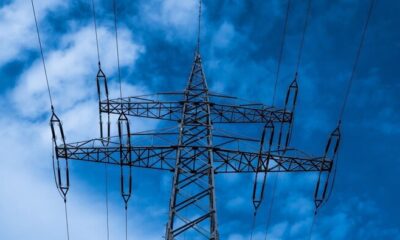 Підвищення прайс-кепів відкрило двері для європейського імпорту в умовах дефіциту — Центр Разумкова