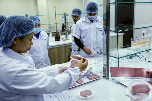 Kiểm định chất lượng thịt tại tổ hợp chế biến thịt Meat Hà Nam..