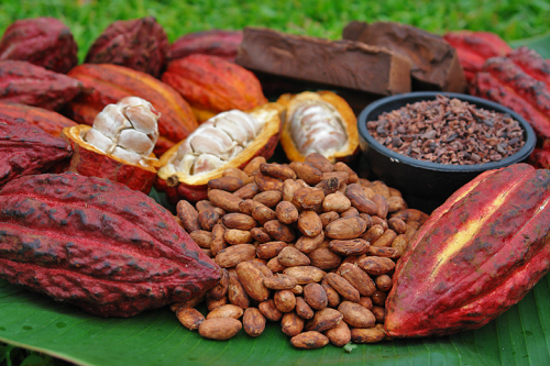 The Bitter Cacao tổ chức họp mặt chương trình thiện nguyện Tây Nguyên - 4