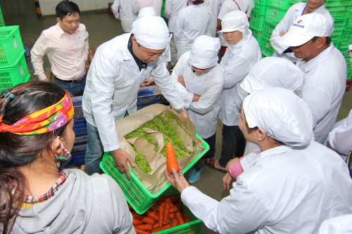 MM Mega Market xuất khẩu nông sản Việt sang thị trường Singapore  - 1