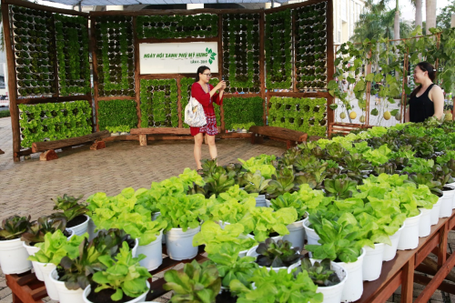 Mô hình trồng rau sạch, an toàn cũng được giới thiệu tại Ngày hội, khuyến khích mọi người có thể tự trồng trọt, chăm sóc rau sạch tại nhà.