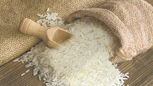 Xuất khẩu gạo giảm mạnh