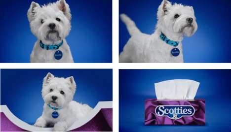 Facial Tissue Puppy Mascots : New Brand Mascot