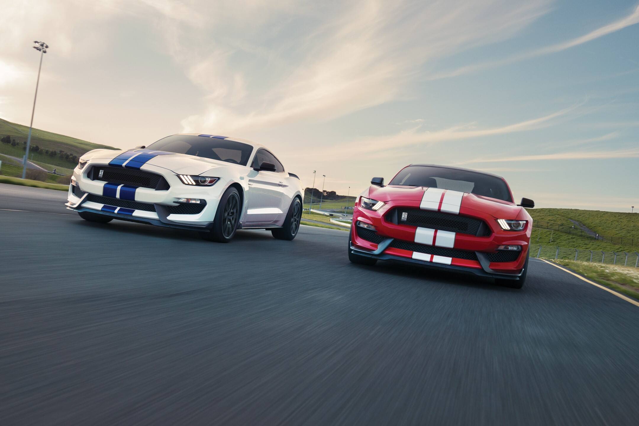 Preview of the Shelby Mustang GT350 is fast and fun at $59,000