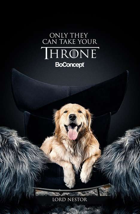 Regal Canine Campaigns : furniture ad campaign
