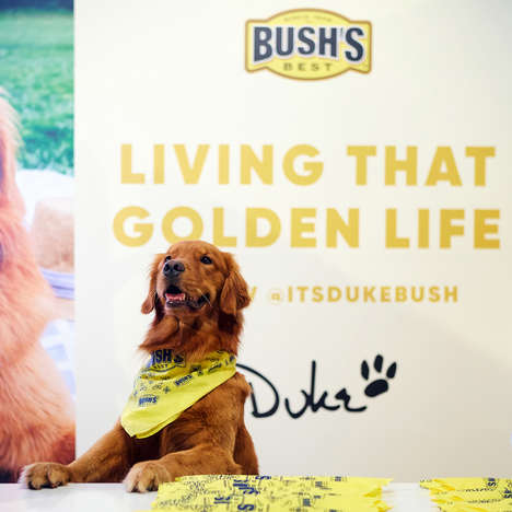 Canine Brand Ambassadors : Spokes-Dog