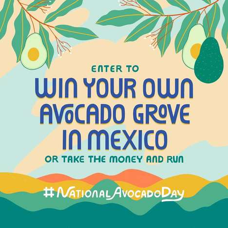 Avocado Grove Giveaways : avocado grove